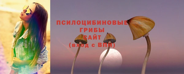 сатива Горно-Алтайск