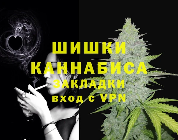 сатива Горно-Алтайск