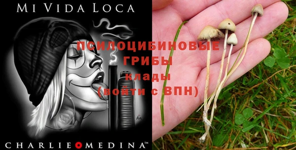 стаф Горняк