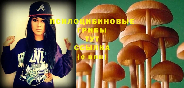 стаф Горняк