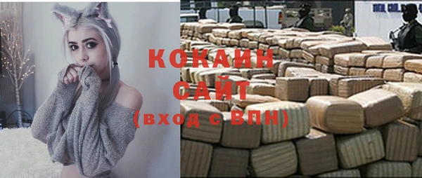 сатива Горно-Алтайск