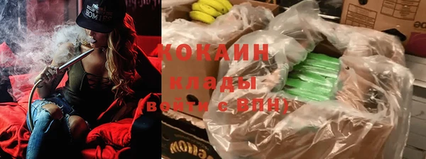 сатива Горно-Алтайск