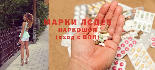 стаф Горняк
