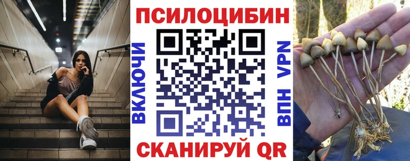 наркотики Дорогобуж Галлюциногенные грибы MAGIC MUSHROOMS