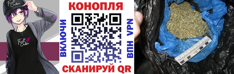 продажа наркотиков  Дорогобуж  Бошки марихуана MAZAR 